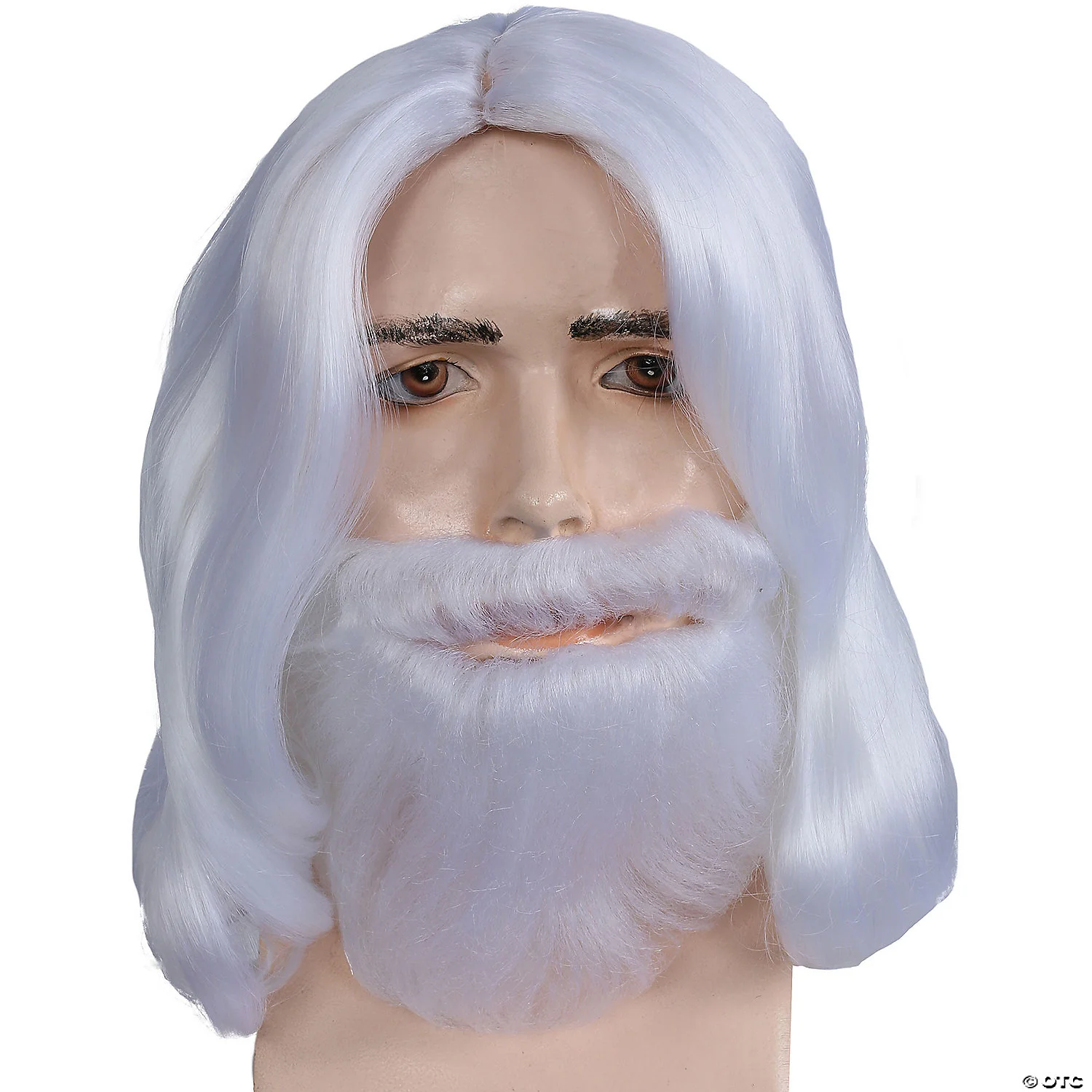 Biblical Wig & Beard Set - Image 4